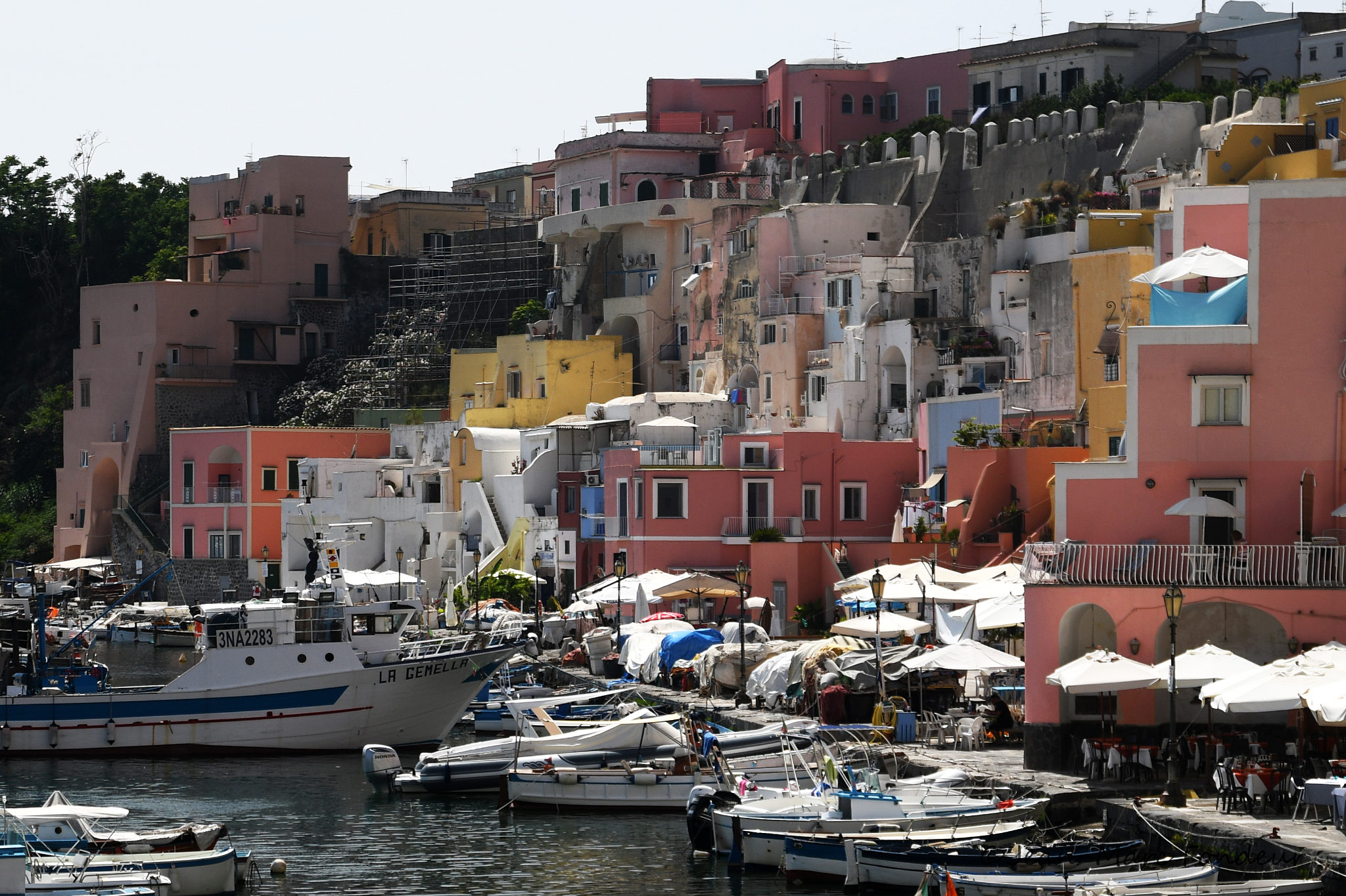 Procida